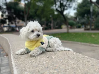 Fleece Jacket Pet