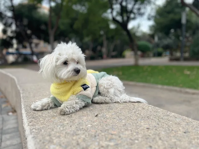 Fleece Jacket Pet