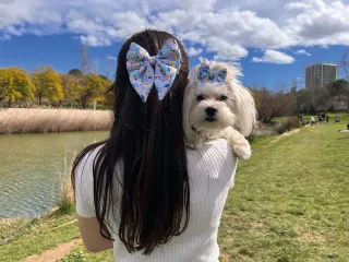 Ribbon Human