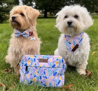 Matching Pet Bandana