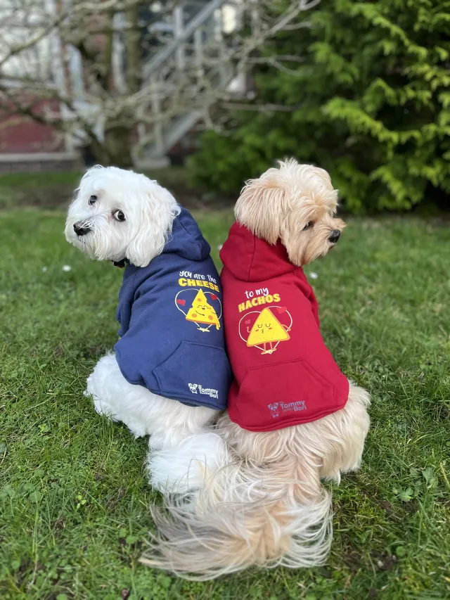 Hoodie Pet Customisable