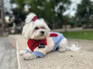 Fleece Jacket Pet